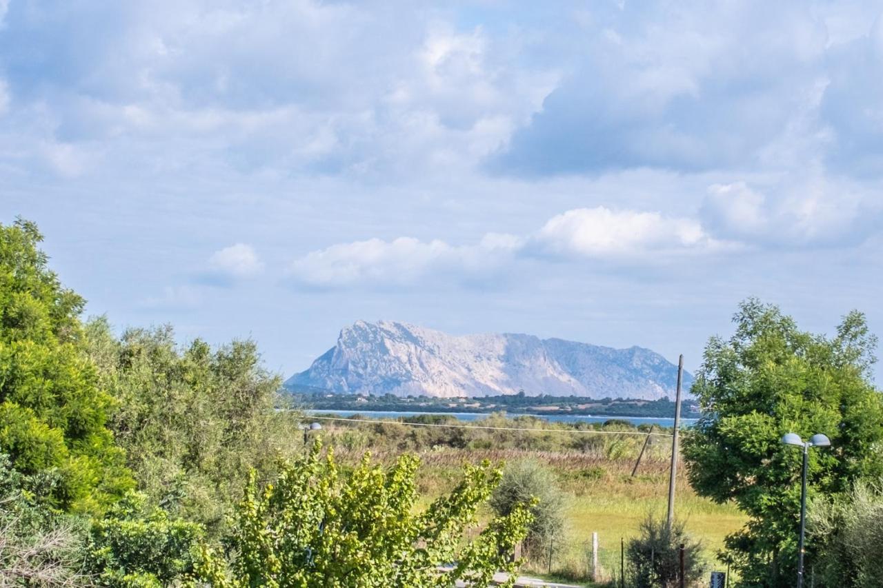 Iss Travel, Pedra Rosa 2 Bedroom Apartments With Private Terrace And Air Conditioning San Teodoro  Exteriör bild